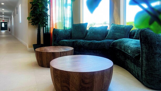 Un espacio moderno con un sofá verde, dos mesitas de madera y una planta grande.