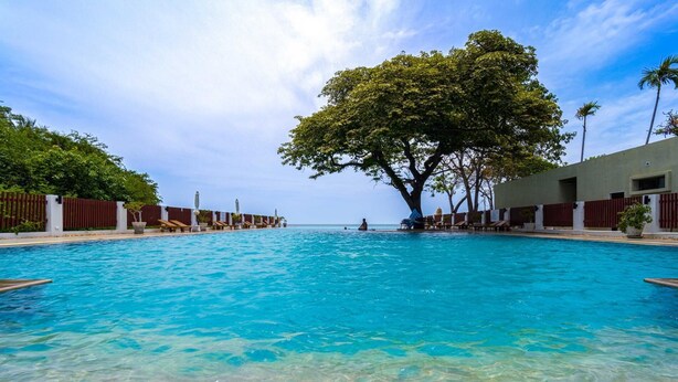 Una piscina azul cristalina con sillas de descanso y un árbol grande en el centro.