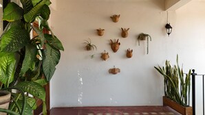 A wall with various animal-shaped decorations and potted plants. - El Diablo y la Sandia B&B (Oaxaca)