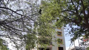 Un edificio residencial de varios pisos con balcones, entrada porticada y zonas verdes circundantes.