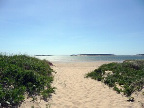 Beach nearby - Tranquil, Cozy Cottage, Recently Renovated! (Wellfleet)