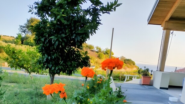A garden with flowers and a building structure. - Apartment with Private Garden and Wi-Fi in Santo Stefano al Mare (Santo Stefano al Mare)