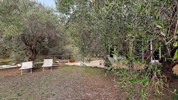 Parco della struttura