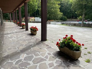 Terrein van de accommodatie