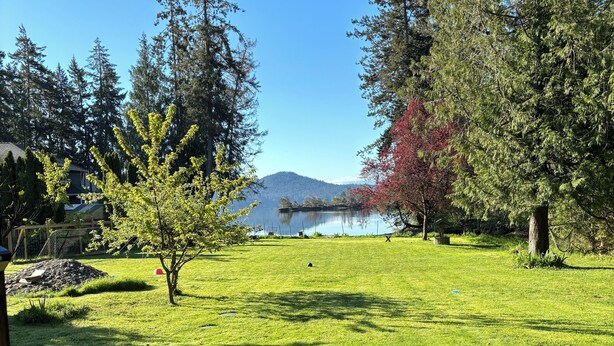 Une zone herbeuse avec des arbres et un lac en arrière-plan.