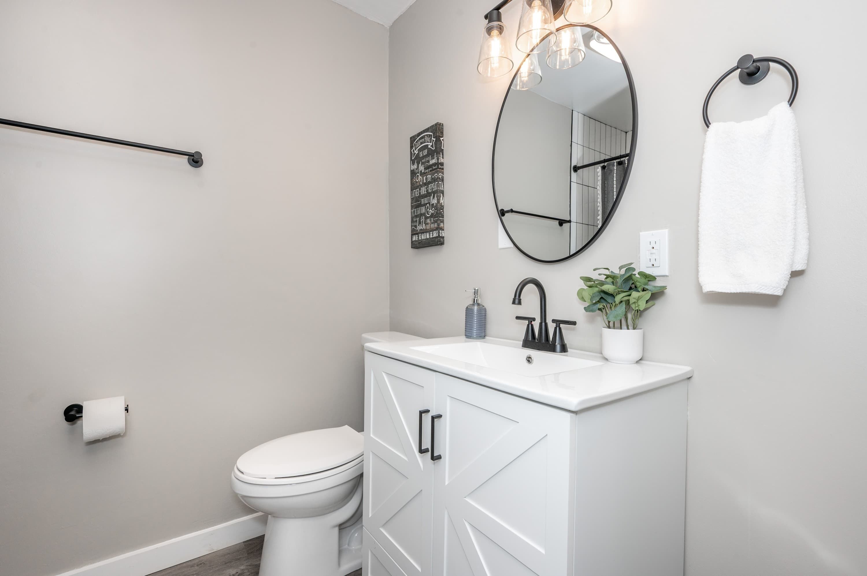 A modern bathroom with a toilet, a white vanity with a mirror, a towel rack, and a small potted plant.