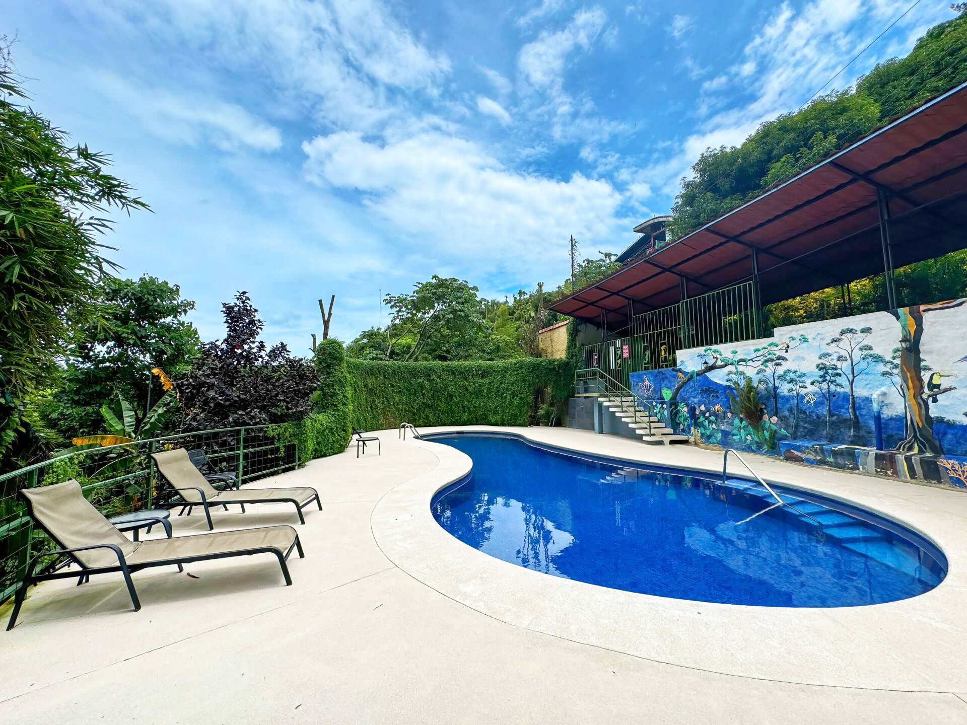 A swimming pool with lounge chairs, surrounded by greenery and a mural.