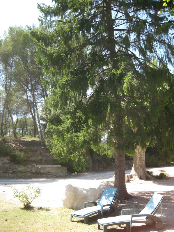 Jardines del alojamiento