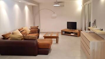 Televisor, reproductor de DVD i taula de tennis de taula