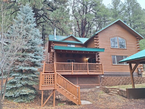 Cabin Among the Pines w/game garage+Tesla charger!
