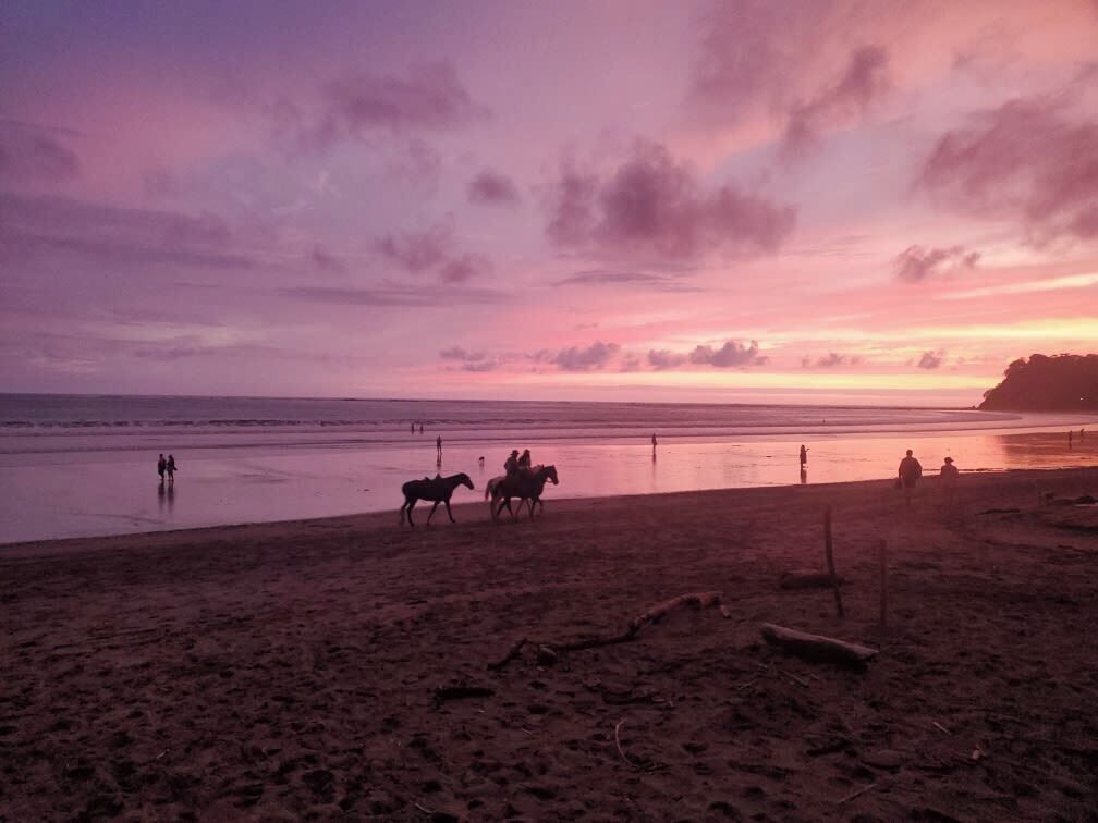 A beach scene with people and horses near the water during sunset.
