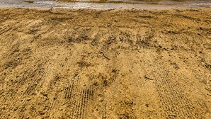 Ein Strand mit sandigem Ufer und einem Gewässer im Hintergrund.