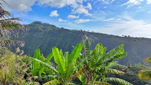 A lush, green landscape with banana plants in the foreground and a mountainous backdrop under a partly cloudy sky. - Moorea Horizon – Stunning Panoramic View – Pool (Papeete)