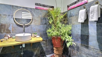 Dusche, Haartrockner, Handtücher