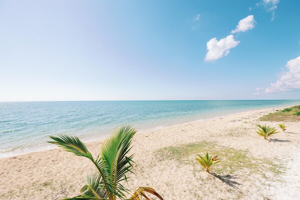 A beach with clear blue water, sandy shore, and sparse vegetation.