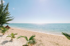 A beach with clear blue water, sandy shore, and palm trees.
