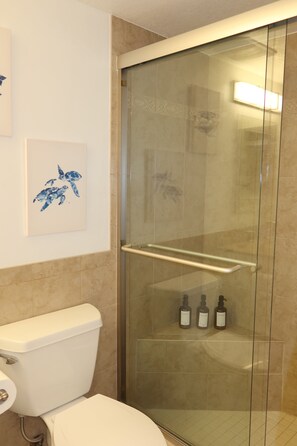 Douche, séchoir à cheveux, serviettes fournies, savon