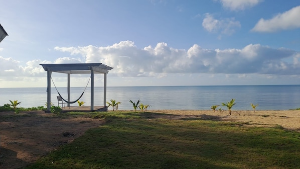 A beach with a hammock under a pergola, palm trees, and a clear view of the sea.