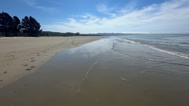 A wide sandy beach with gentle waves, a clear sky, and a line of trees in the background. - Family Home on Golden Bay Farm — Peaceful, Kid-Friendly Stay (Puramāhoi)