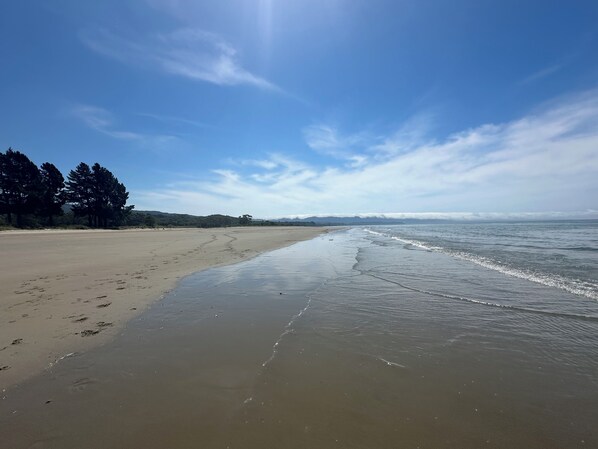 Serviettes de plage