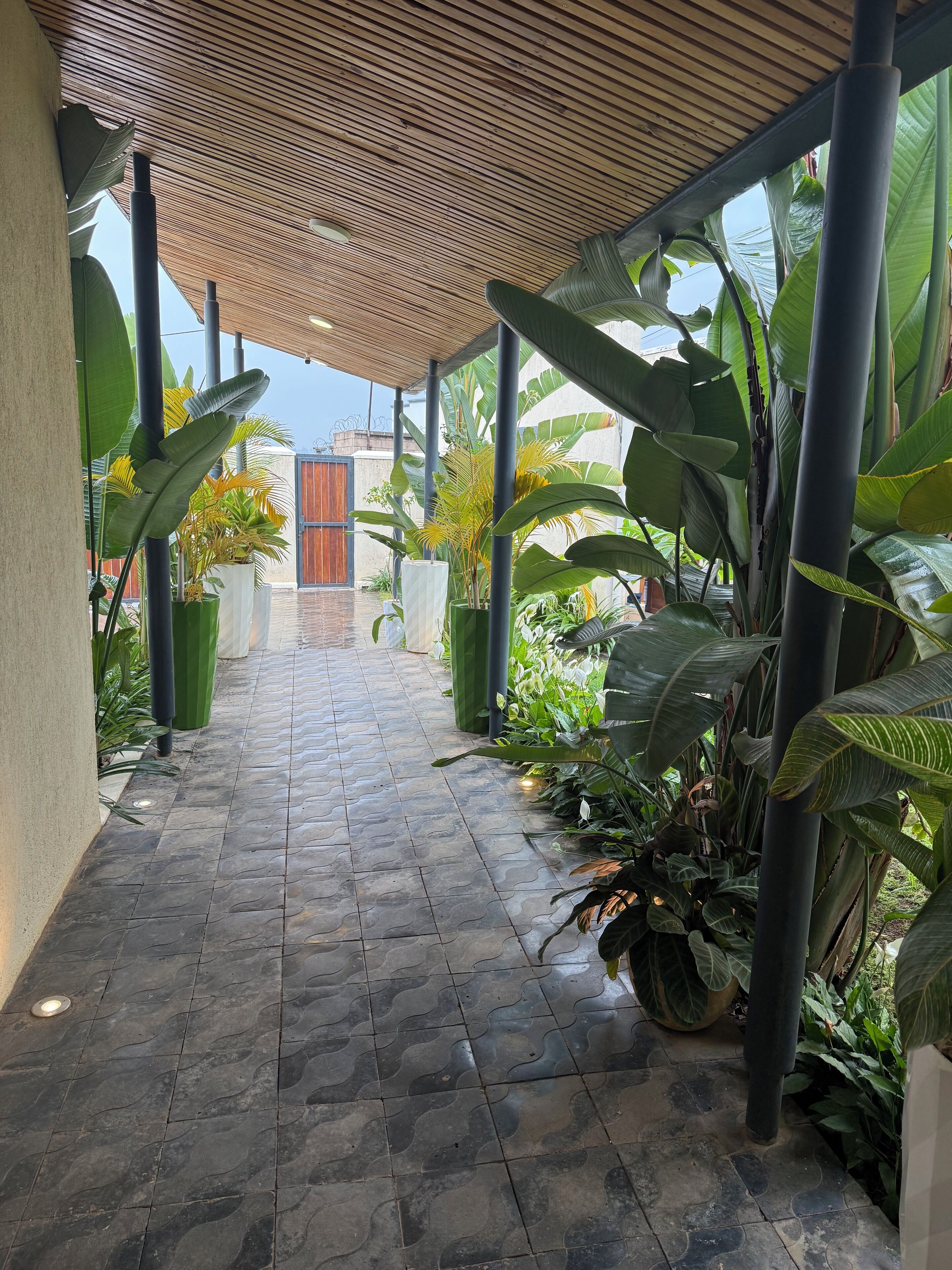 A covered walkway with tiled flooring, surrounded by large tropical plants and a wooden ceiling.