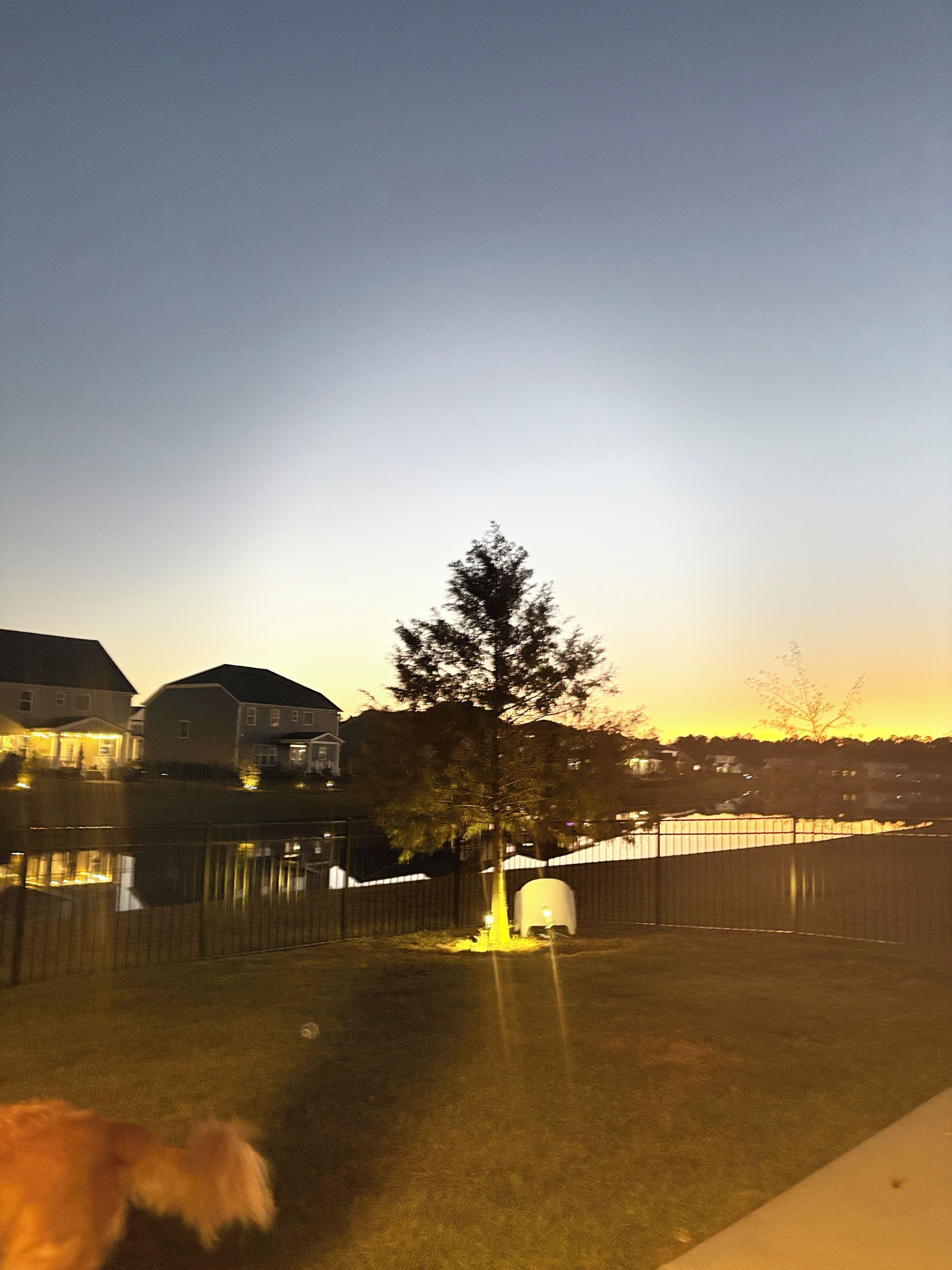 Parco della struttura