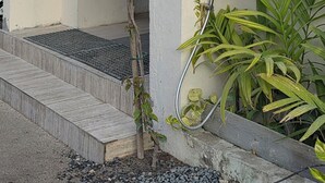 Exterior - Pamera Thoddoo (Thoddoo)