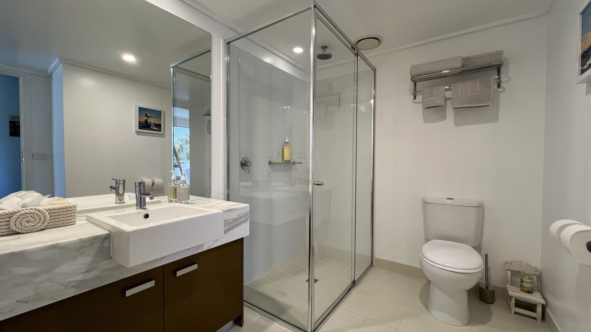 Shower, hair dryer