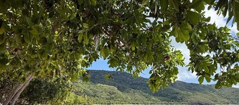 WHITE SANDY BEACH DIVE RESORT - NAVITI ISLAND, YASAWA