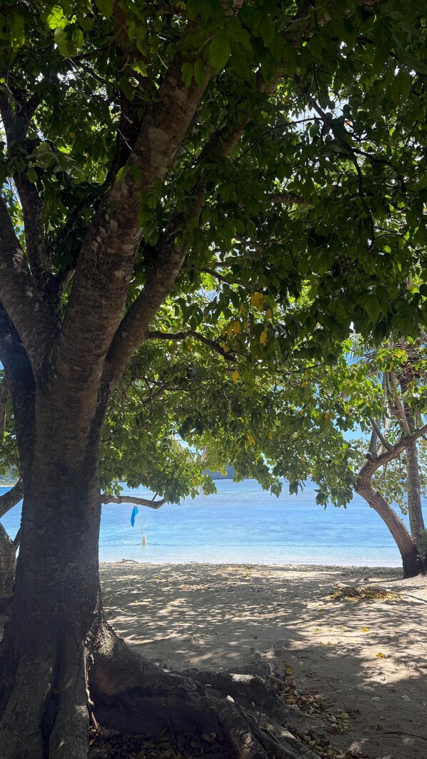 Playa