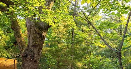 Reconnect with nature at this unforgettable escape.