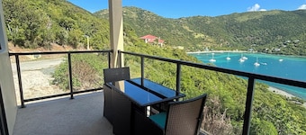 Cozy 1-bedroom villa in tranquil Jost Van Dyke with AC