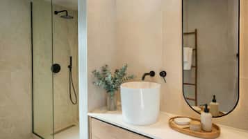 Shower, hair dryer, towels, toilet paper