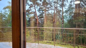 A balcony with a metal railing overlooking a forested area. - 2-bedroom apartment in terrific Tsigov Chark - 12C (Batak)