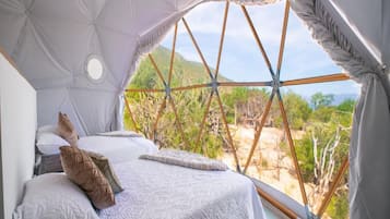 Classic Cabin, Ocean View