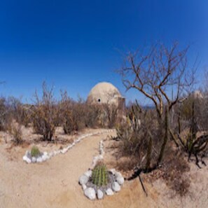 واجهة المنشأة