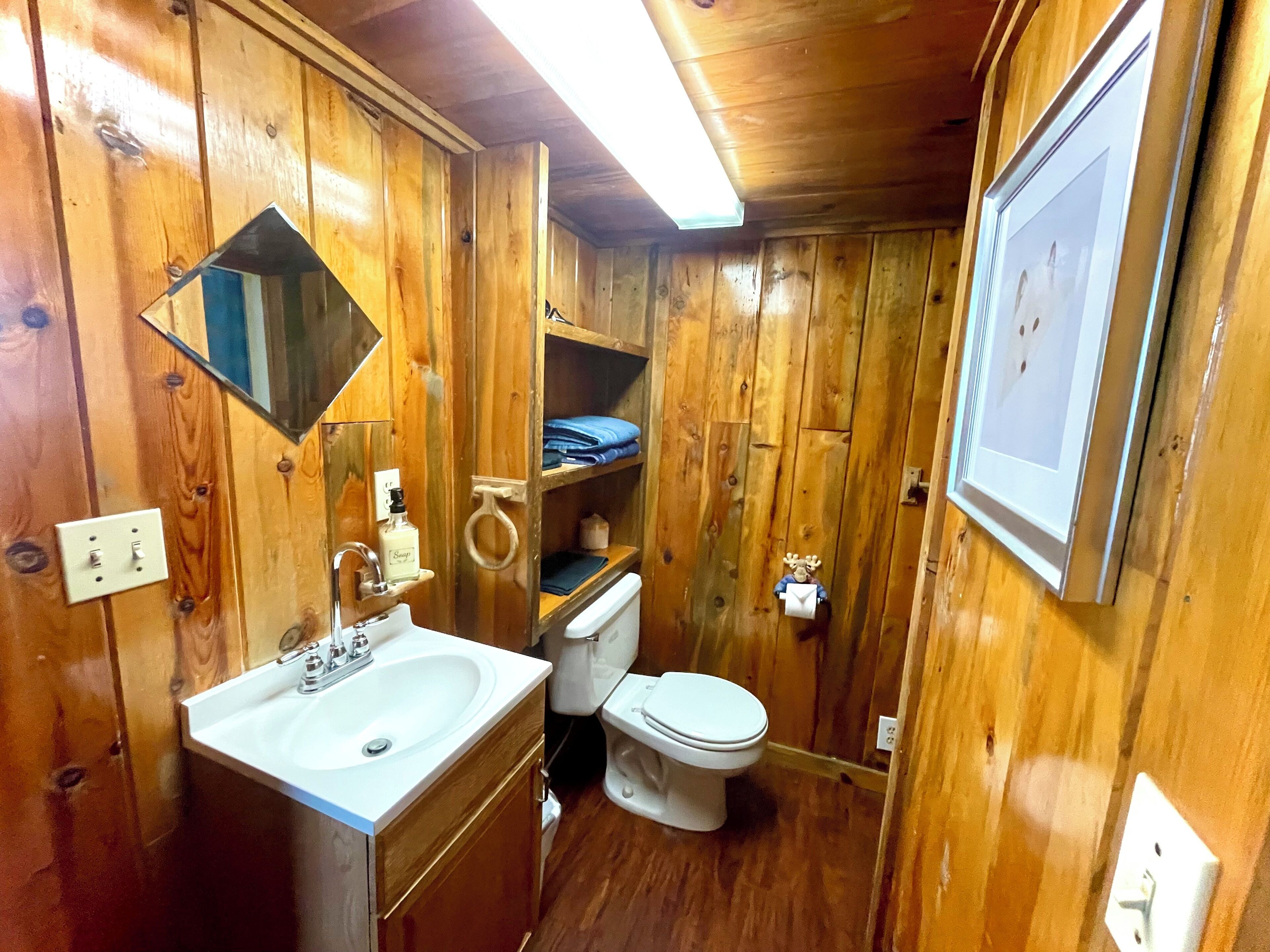 Hair dryer, towels, toilet paper