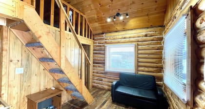 Serene Cabin with Sauna, WiFi & Reindeer Enclosure in Delta Junction - Cabin 5