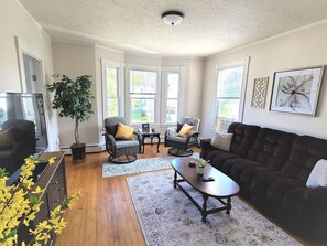 Televisión, chimenea y libros 