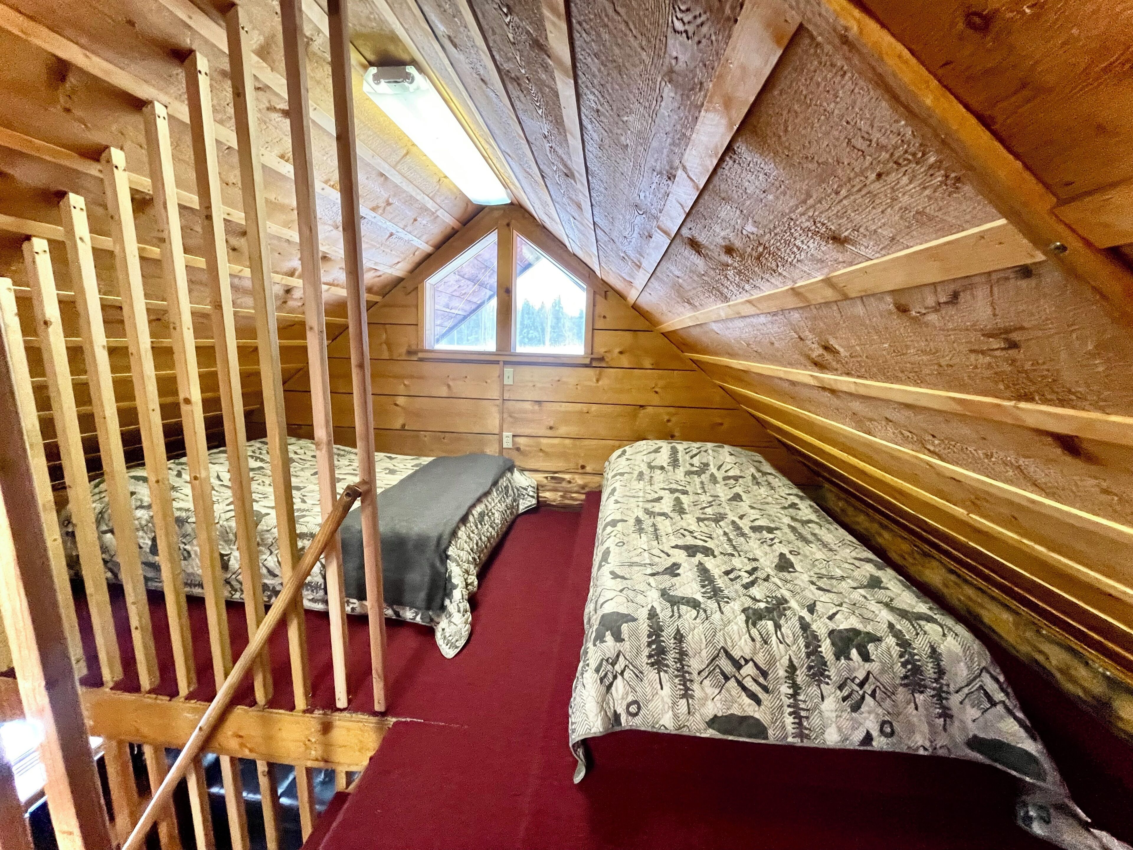 1 habitación y internet 