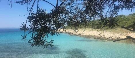 サンラウンジャー、ビーチタオル