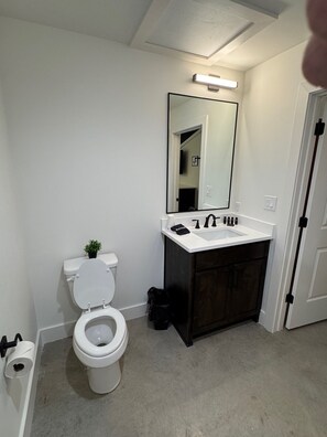 Hair dryer, towels - The New Wave Lawson Unit 209 (Midlothian)