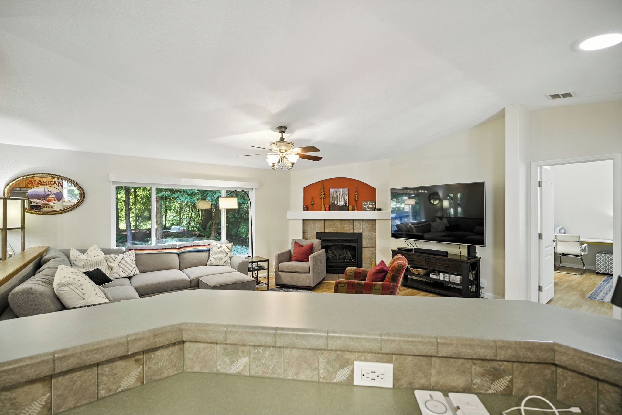 Smart TV, fireplace, books