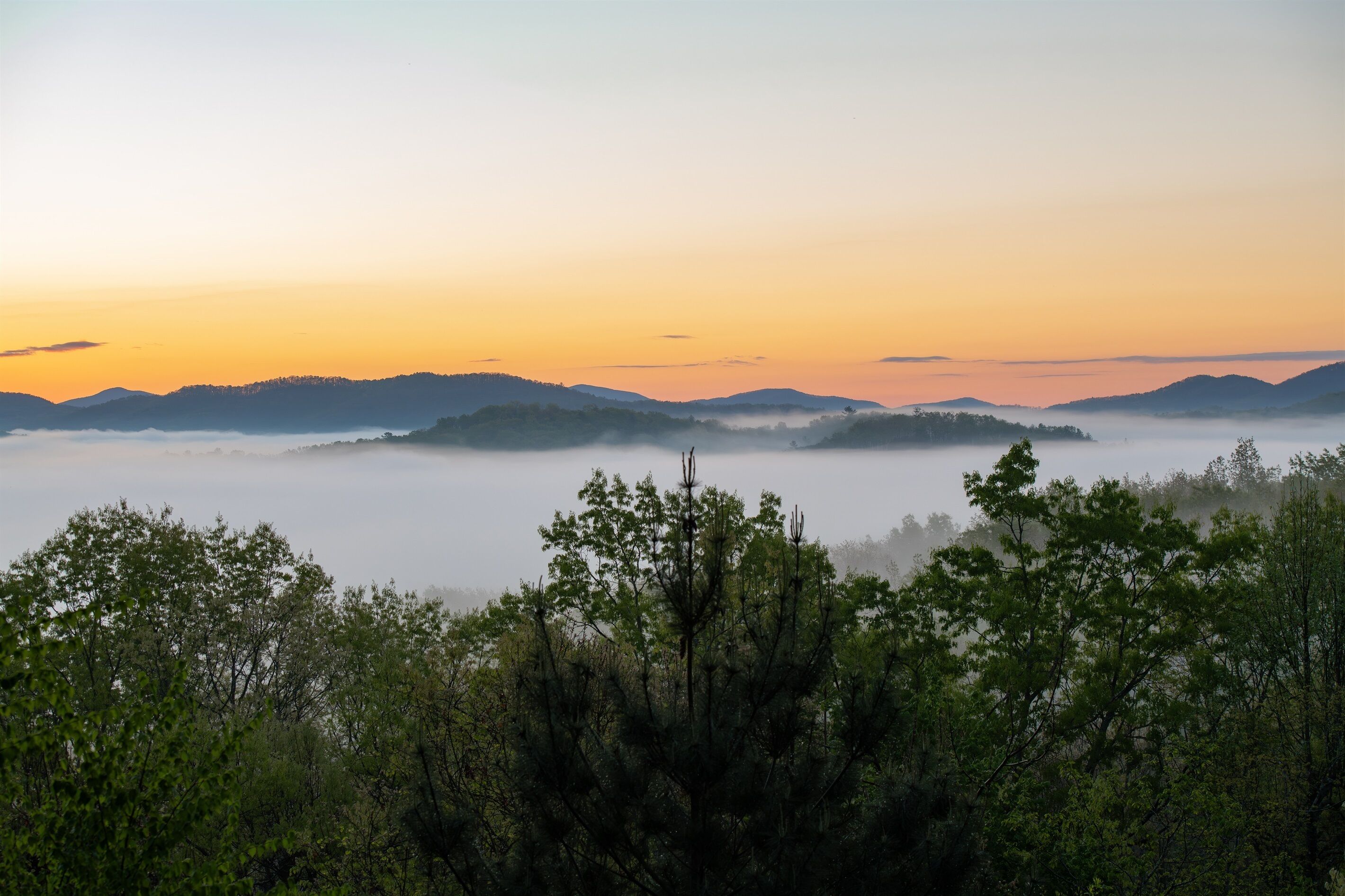 Un paysage comprenant une chaîne de montagnes, des arbres et une atmosphère brumeuse.