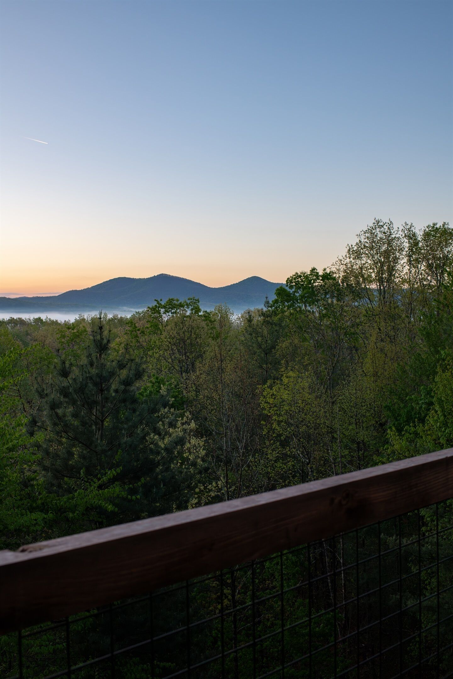 A forested landscape with a mountain in the distance and a wooden railing in the foreground.