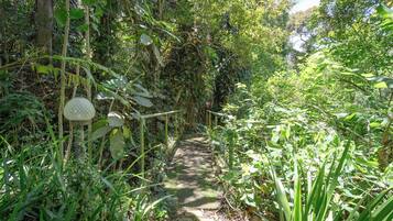 House, Smoking | 4 bedrooms