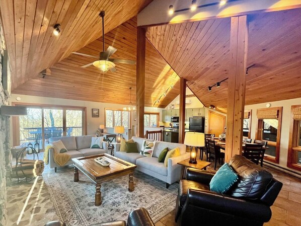 TV connectée, cheminée, lecteur de DVD, livres