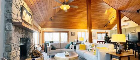 Smart TV, lareira, DVD player, livros