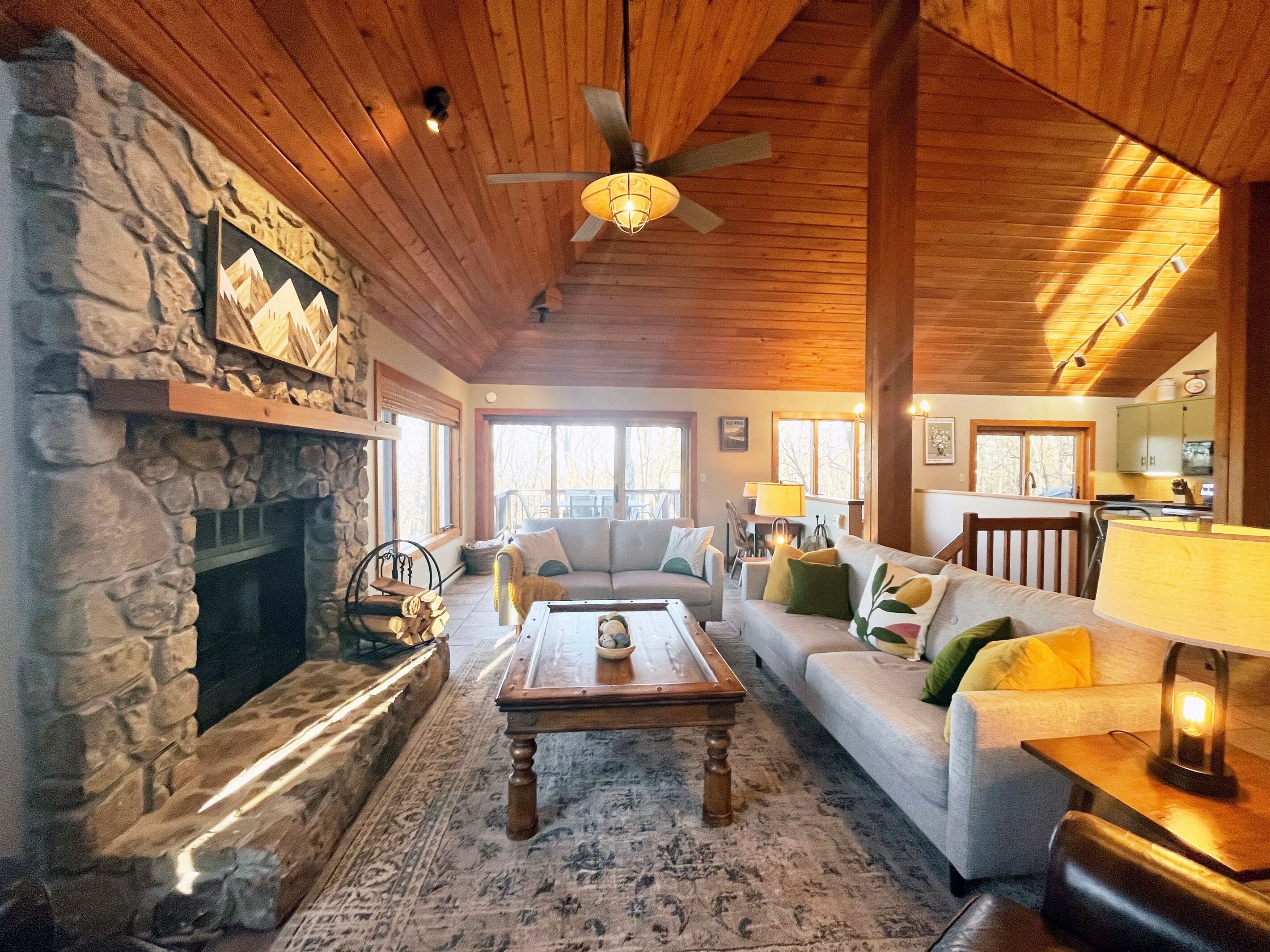 Smart TV, caminetto, lettore DVD, libri