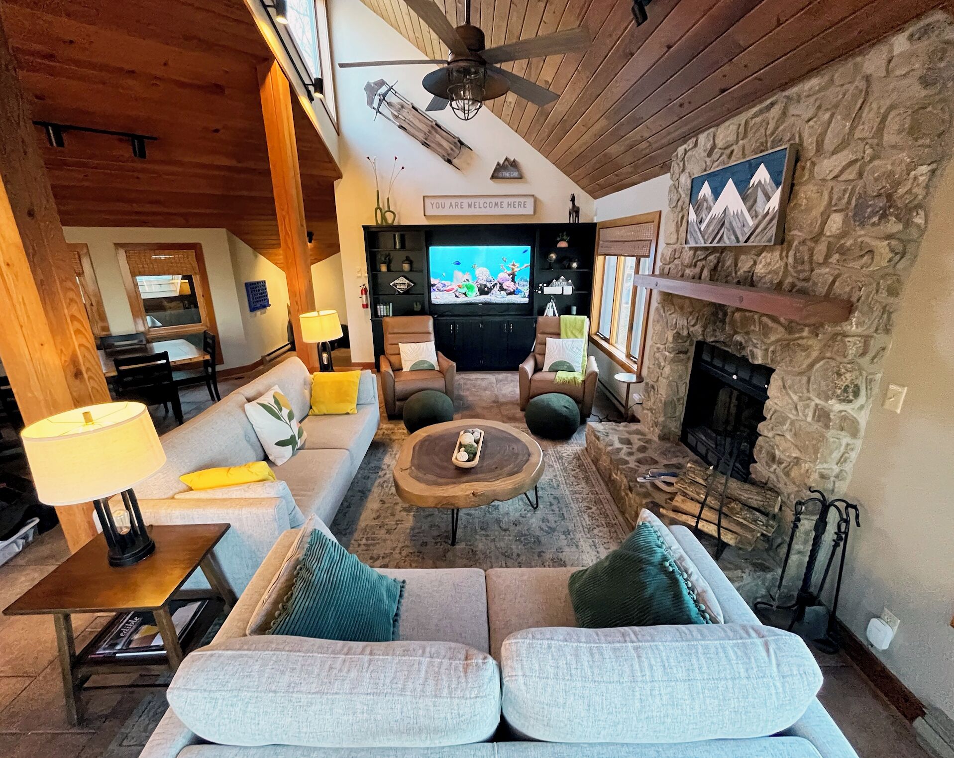 Una Smart TV, una chimenea, un reproductor de DVD, libros